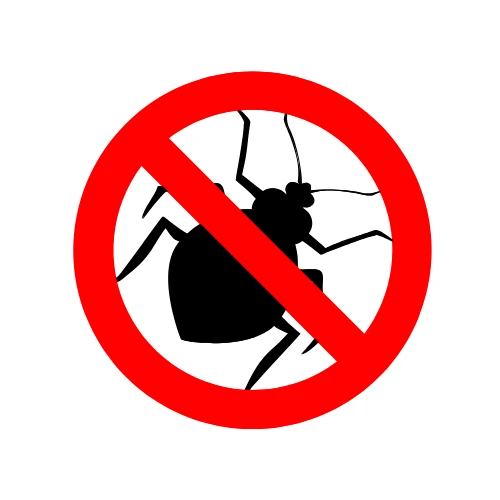 Professional bedbugs control service in Chennai – mattress and furniture treatment