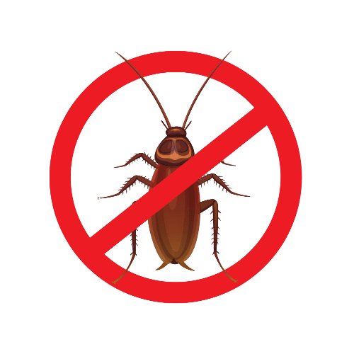 Professional cockroach control service in Chennai – safe pest treatment for homes and offices