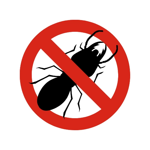 Professional termite control treatment in Chennai for homes and offices